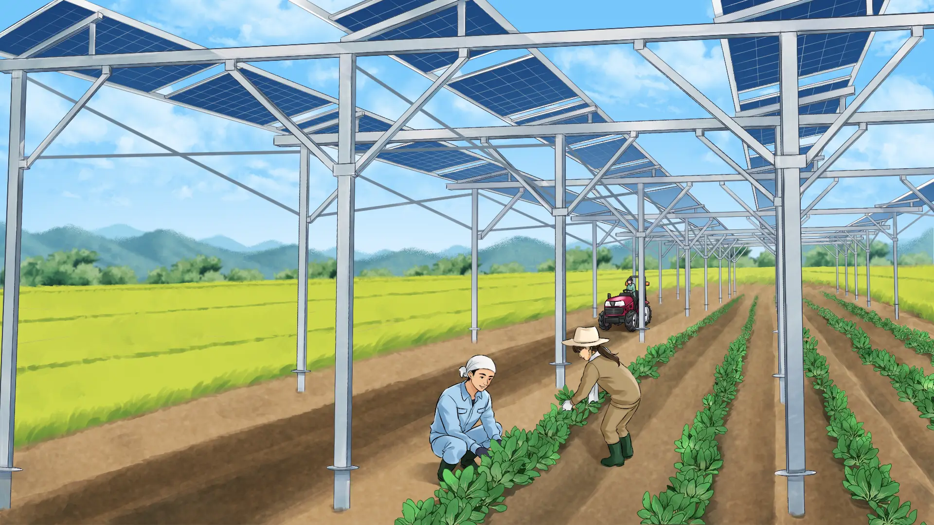 「営農型太陽光発電（ソーラーシェアリング）」とは？ メリットや課題をわかりやすく解説